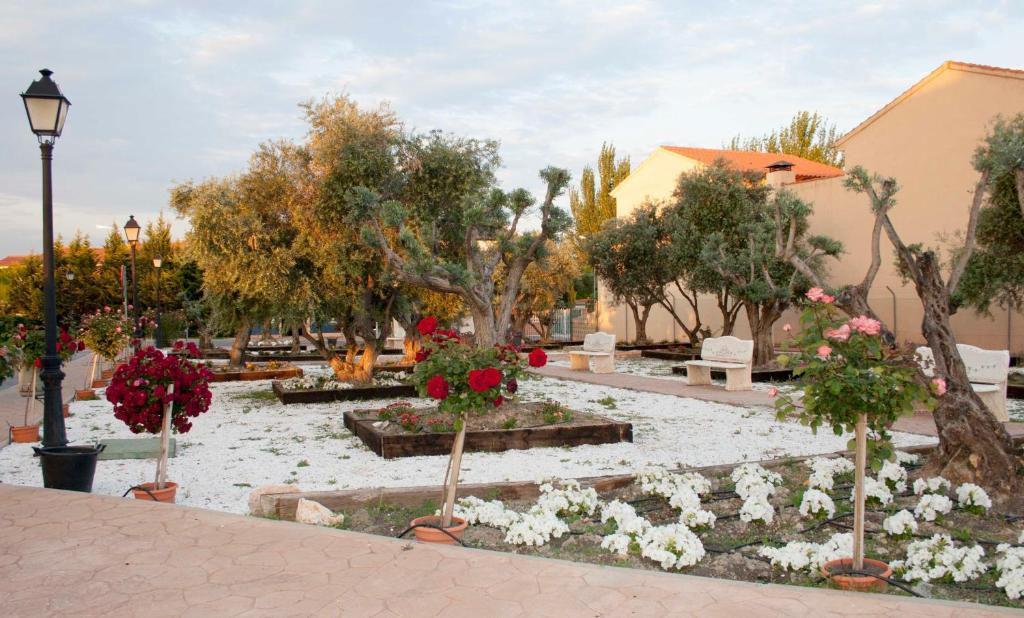 Las Olivas- Borox Aparthotel Seseña Nuevo Exterior foto